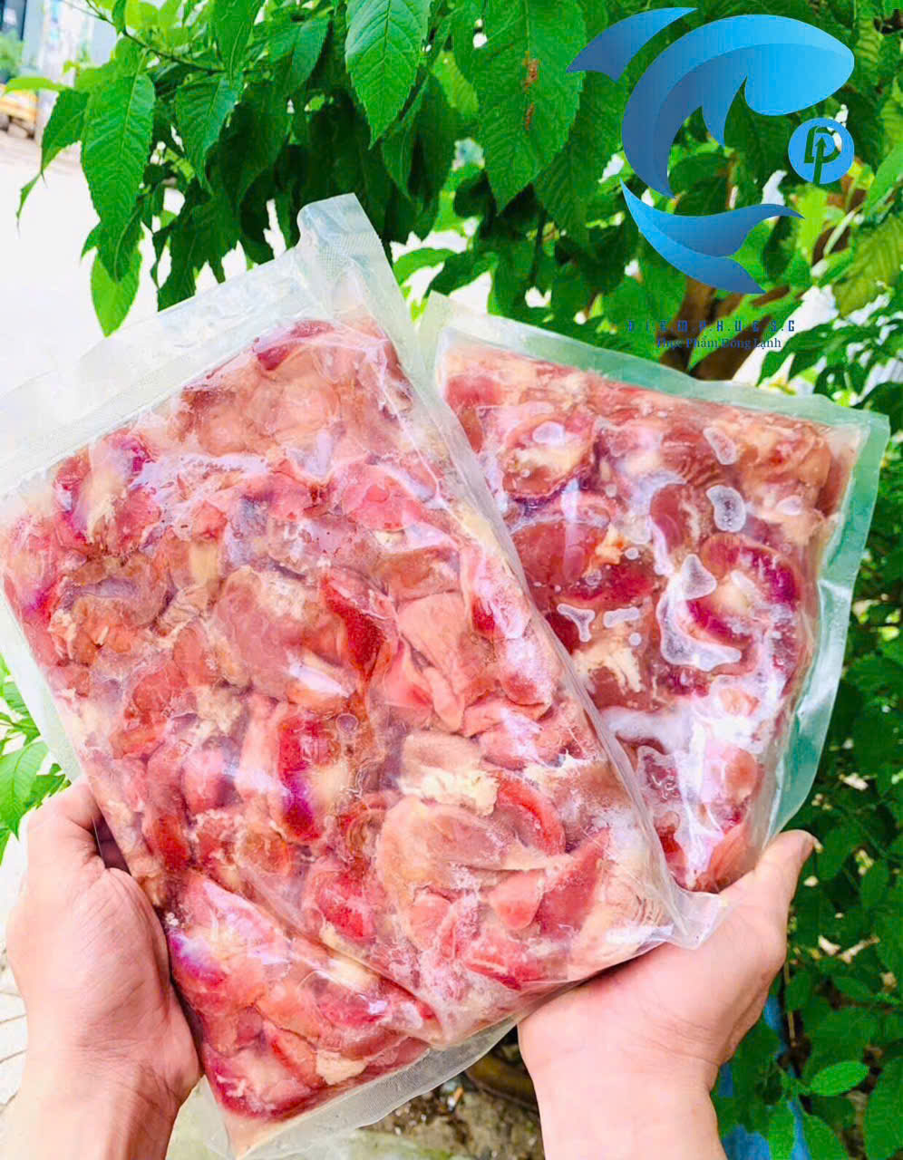 Mề gà Net đủ