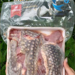 Cánh đà điểu