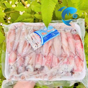 Mực trứng TN Net 7