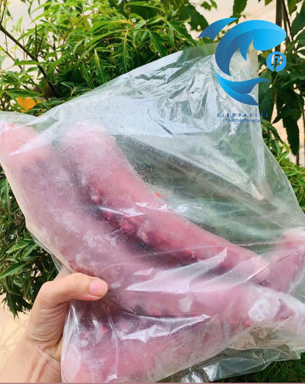 Râu tuộc Net 5